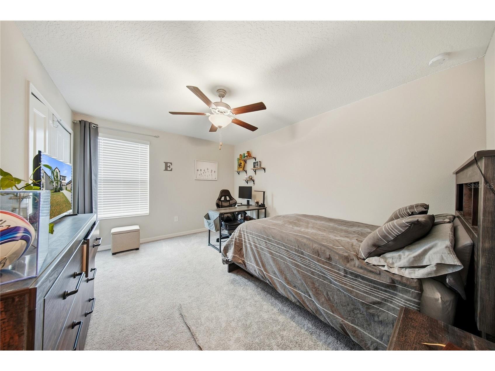 13525 Wild Ginger Street Riverview FL 33579 TB8474131 image30