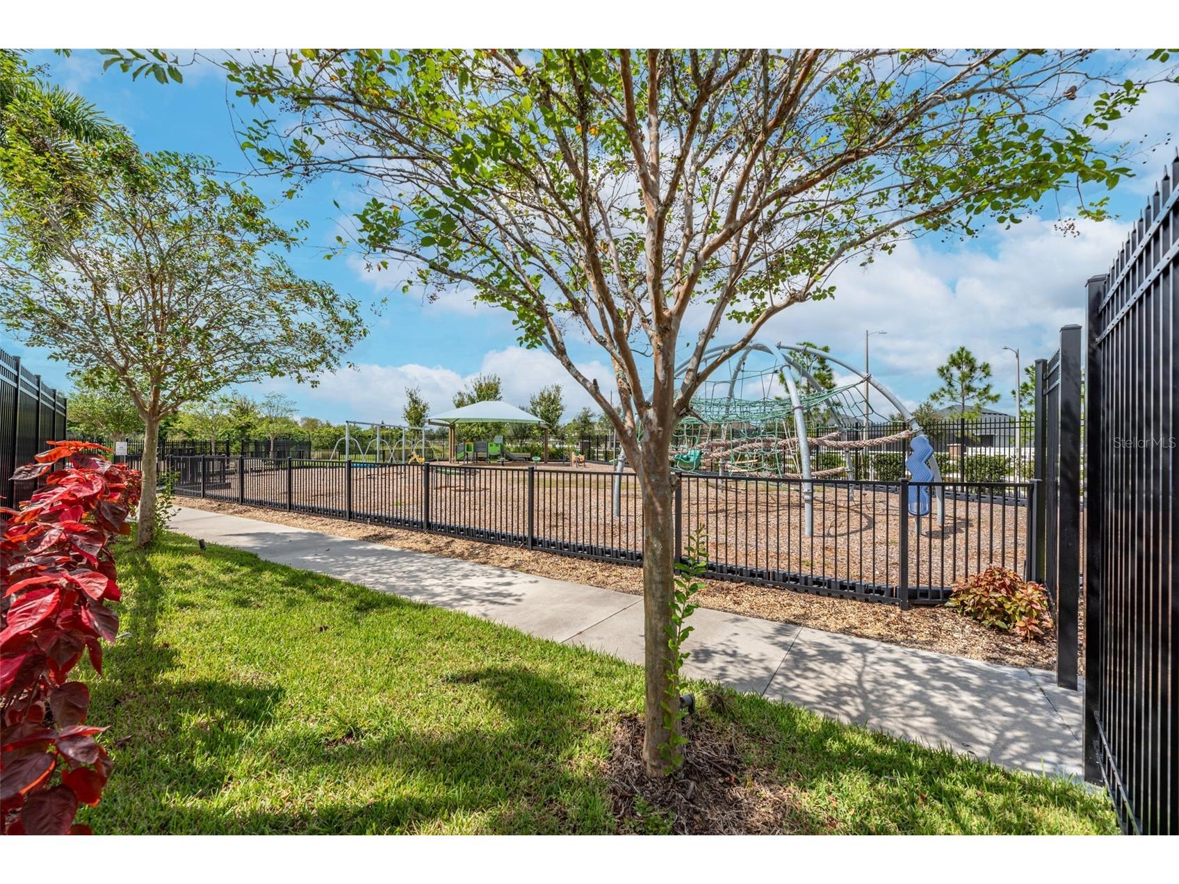 13525 Wild Ginger Street Riverview FL 33579 TB8474131 image51