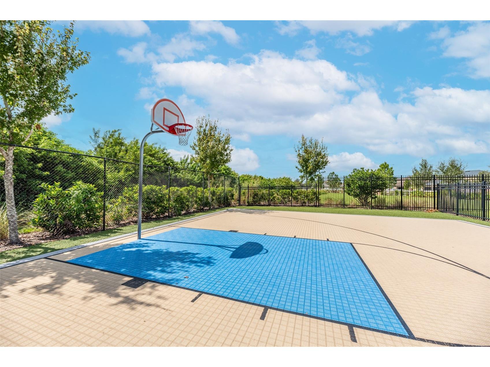13525 Wild Ginger Street Riverview FL 33579 TB8474131 image52