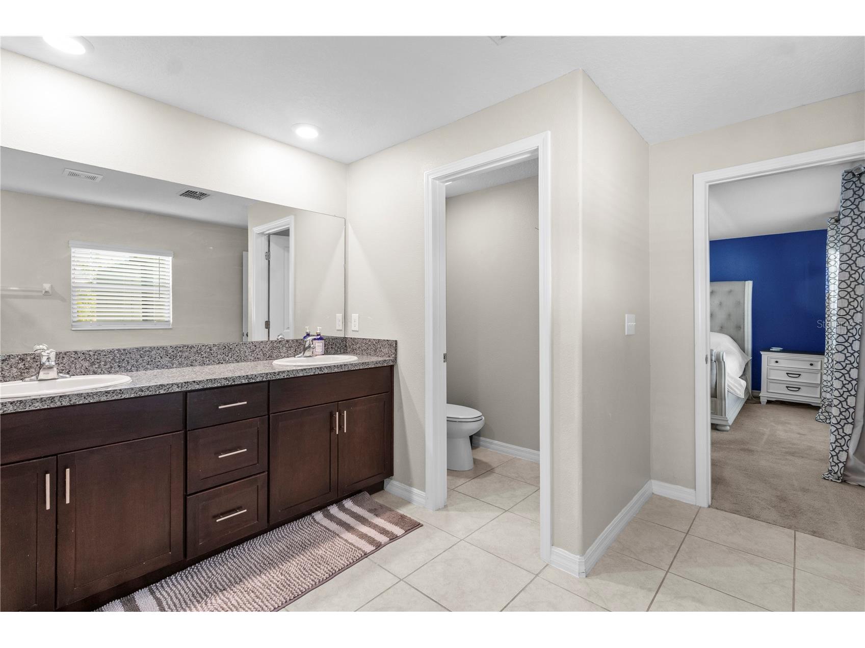 13525 Willow Bluestar Loop Riverview FL 33579 TB8498084 image12