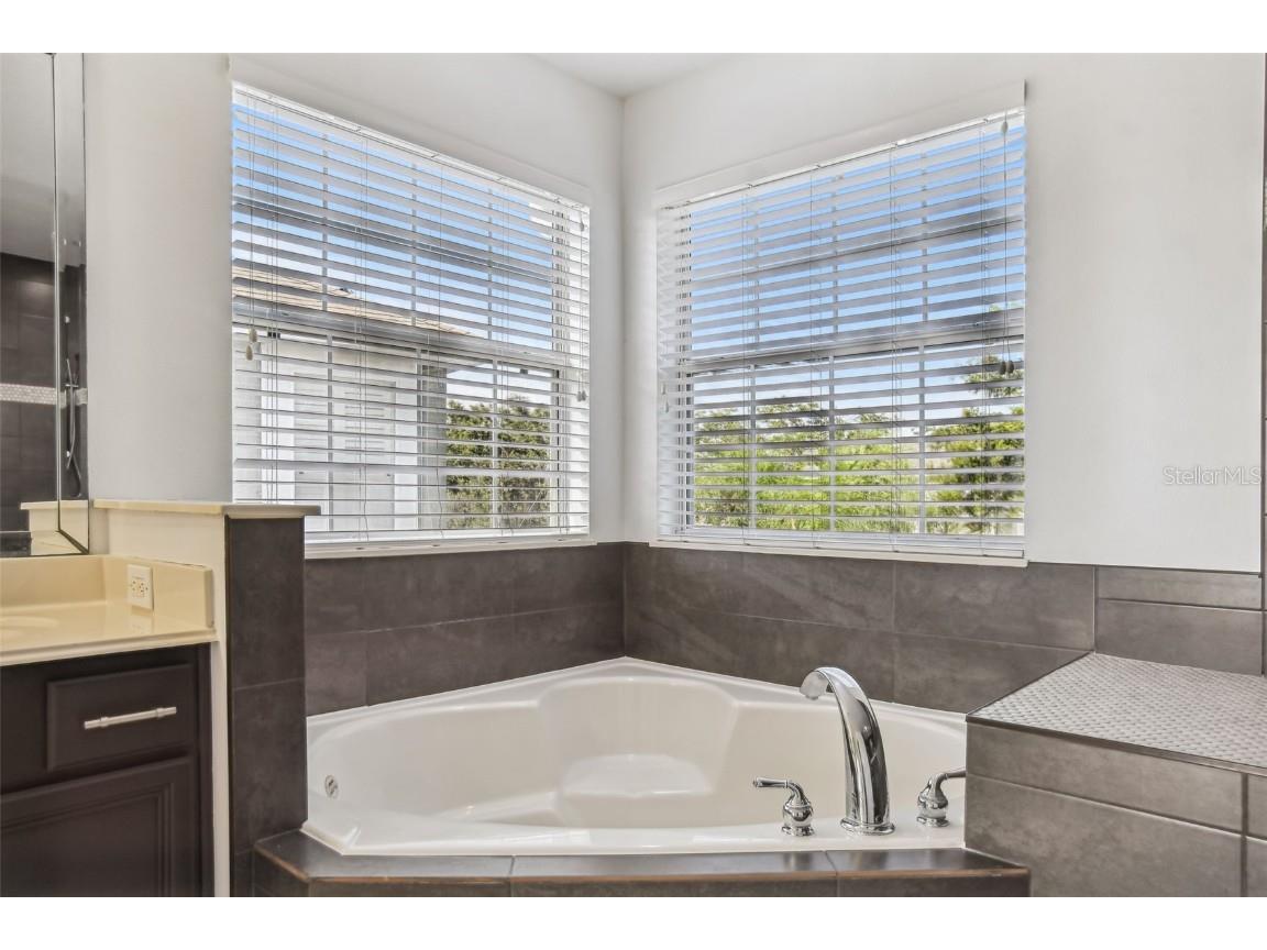 13526 Budworth Circle Orlando FL 32832 O6217170 image28