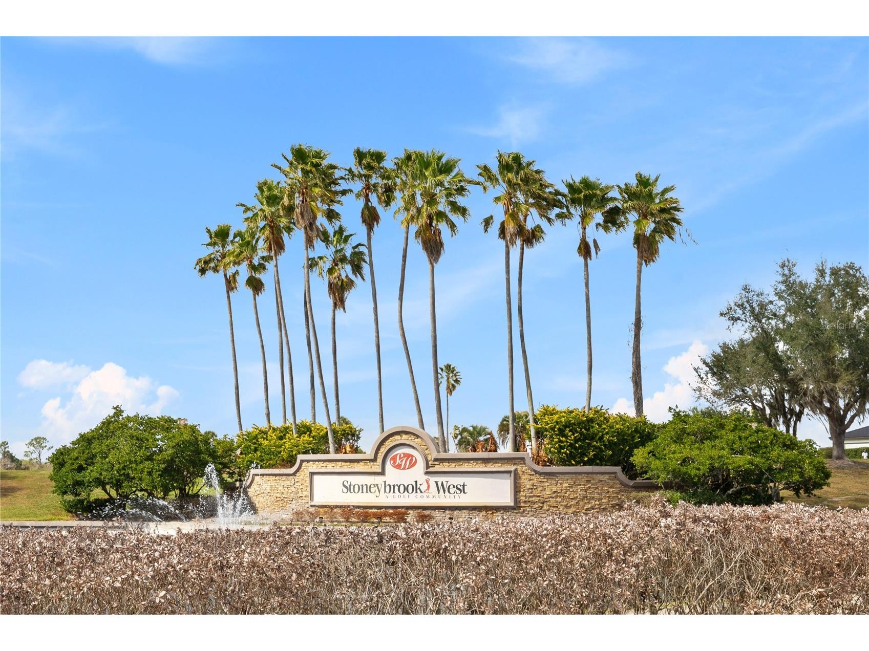 13526 Fox Glove Street Winter Garden FL 34787 O6388630 image40
