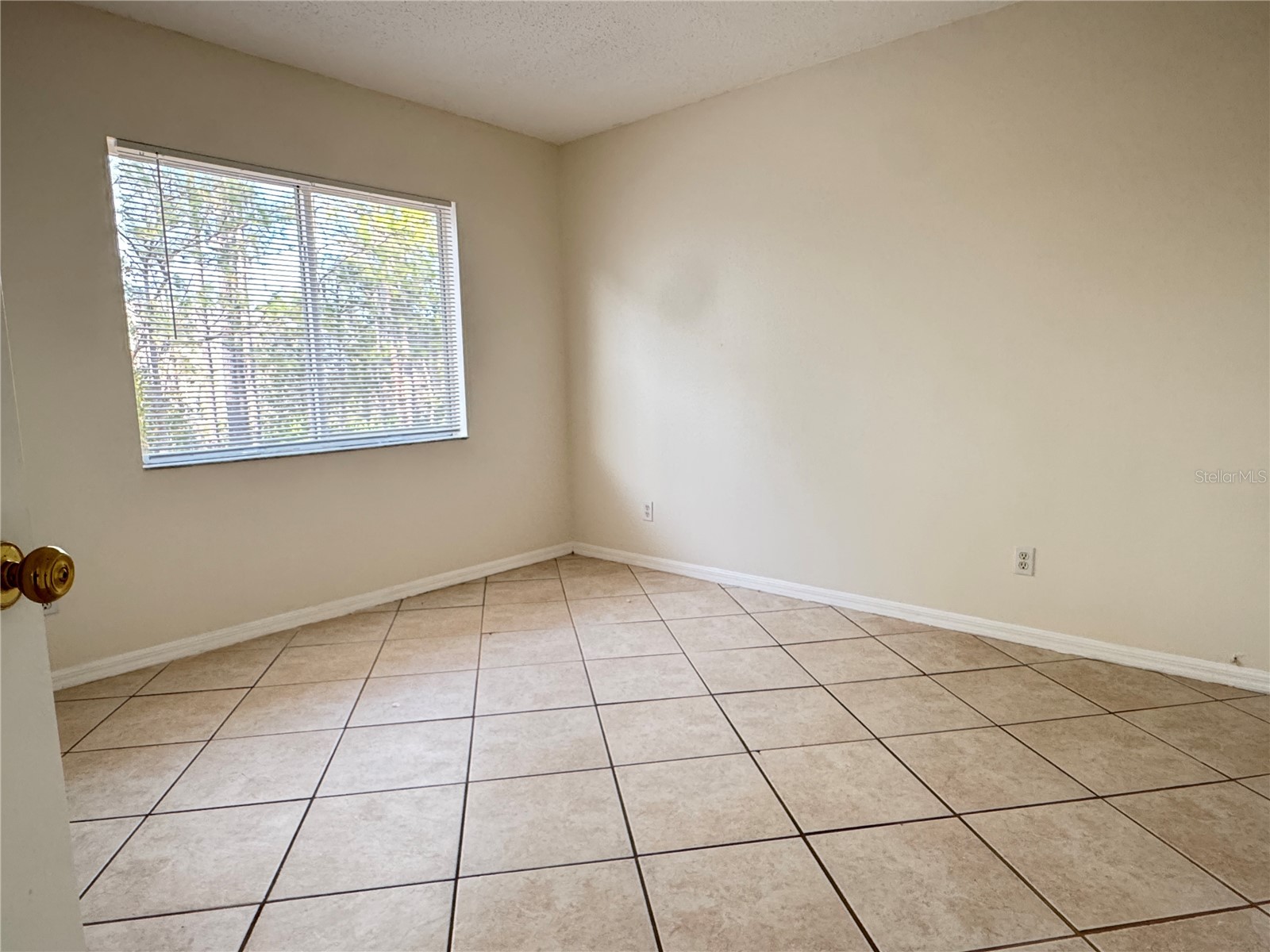 13526 Prestwick Drive Riverview FL 33579 TB8481676 image16