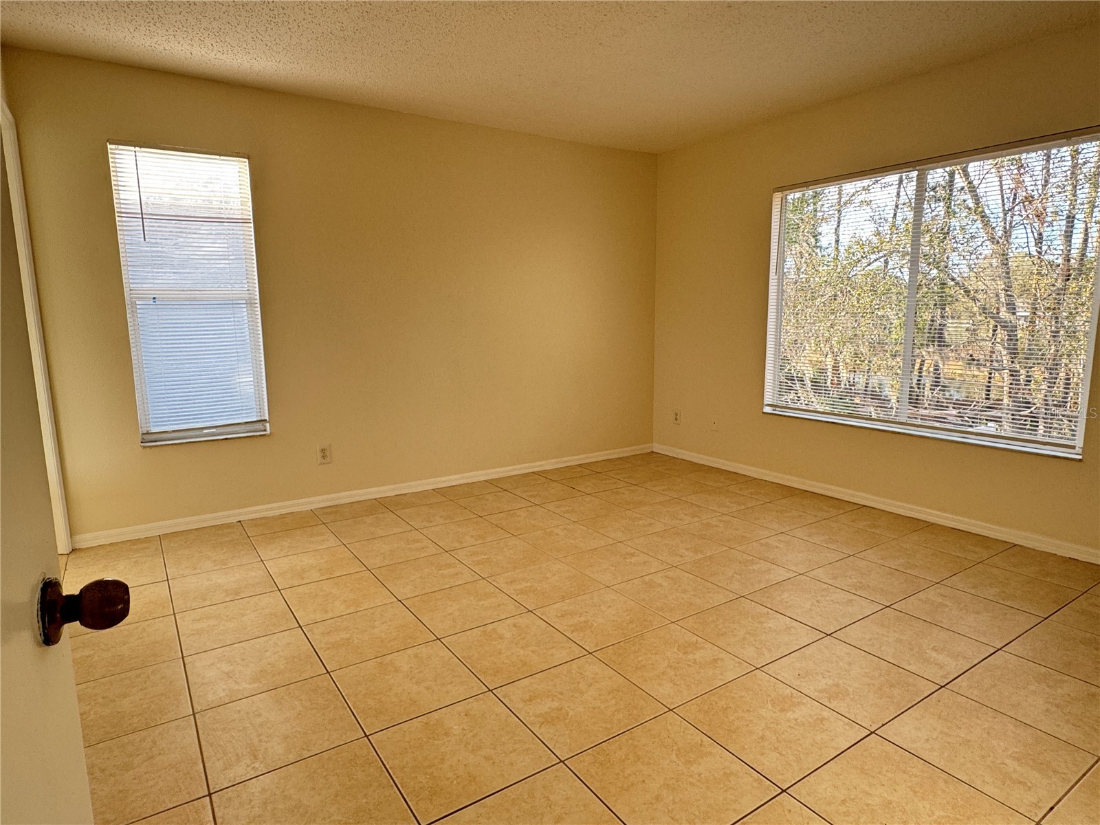 13526 Prestwick Drive Riverview FL 33579 TB8481676 image18
