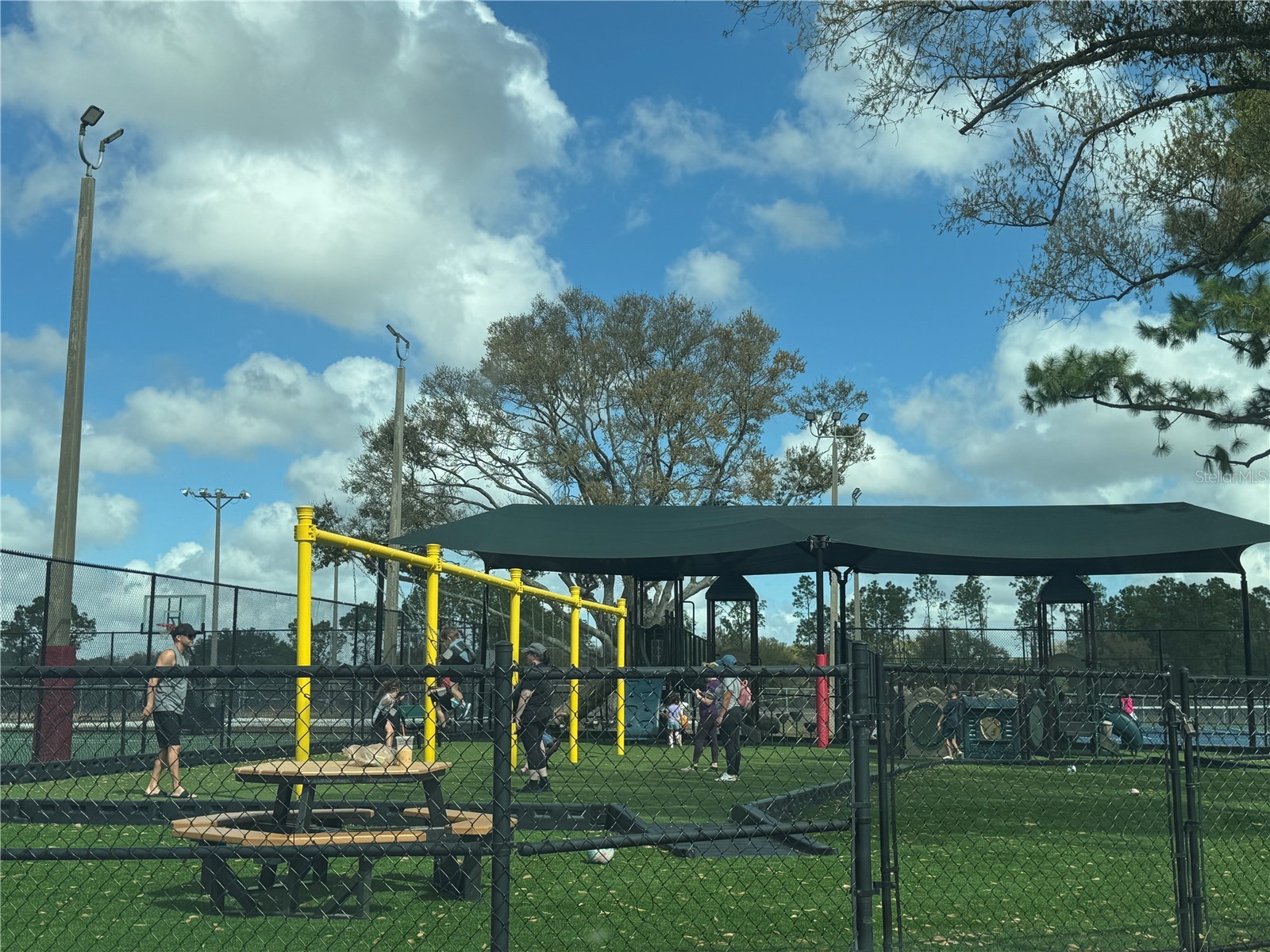 13526 Prestwick Drive Riverview FL 33579 TB8481676 image36