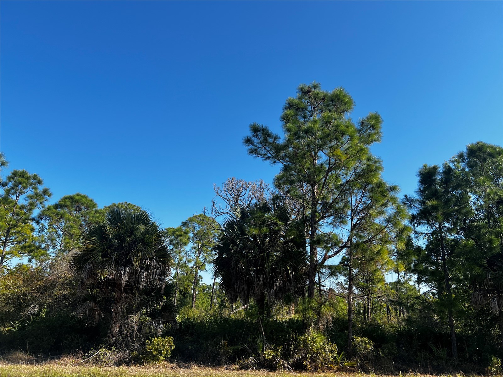 13526 Suribachi Avenue Port Charlotte FL 33953 A4687520 image1