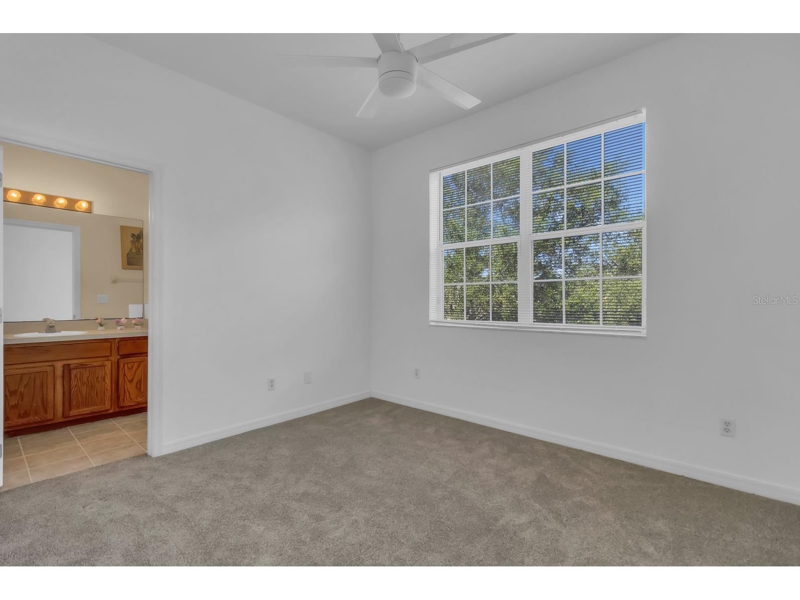 13527 Daniels Landing Circle Winter Garden FL 34787 O6408480 image11