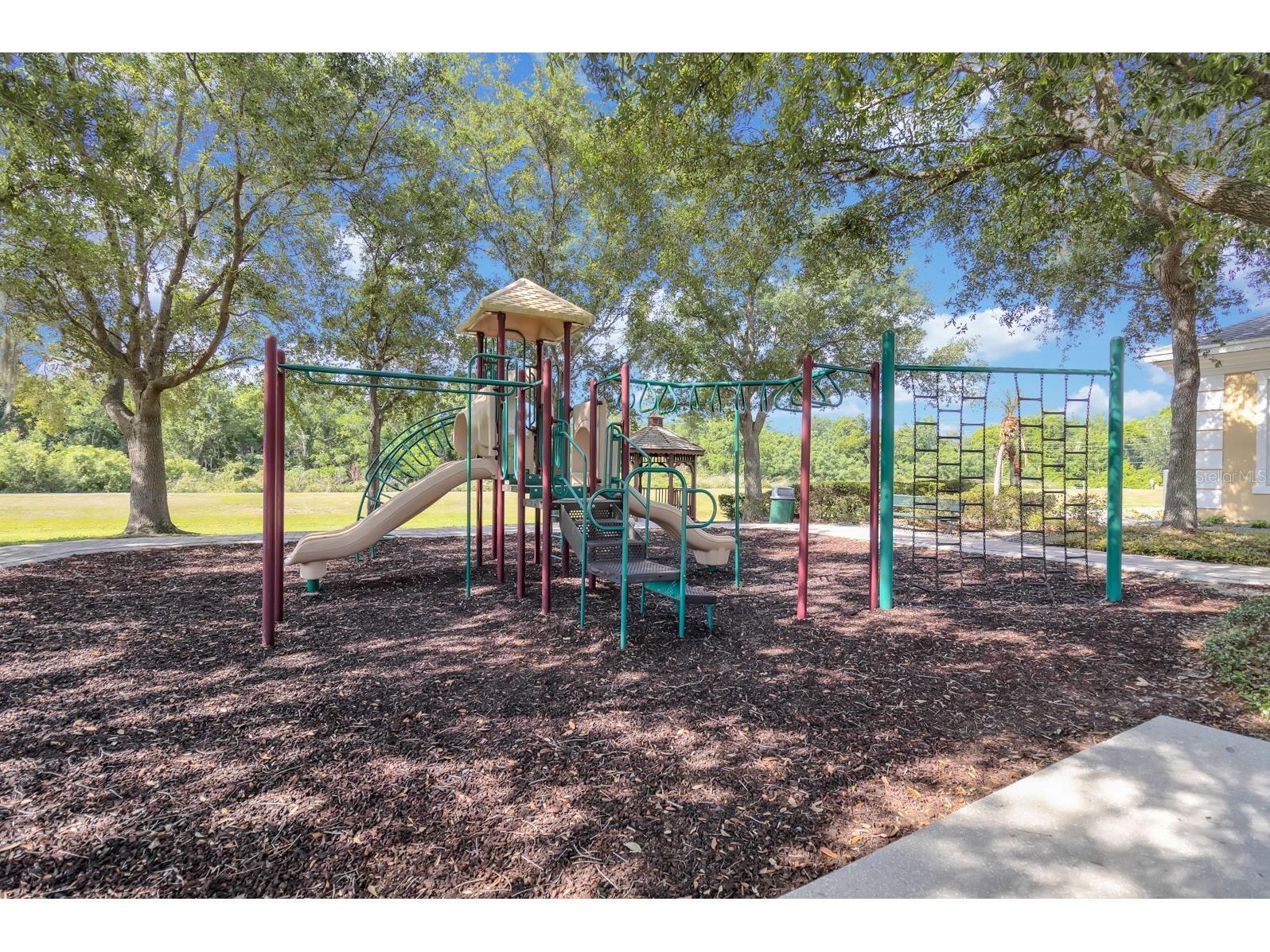 13527 Daniels Landing Circle Winter Garden FL 34787 O6408480 image19