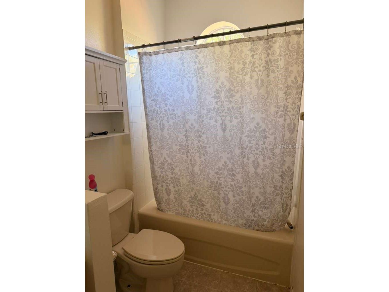 13527 Daniels Landing Circle Winter Garden FL 34787 S5148507 image18