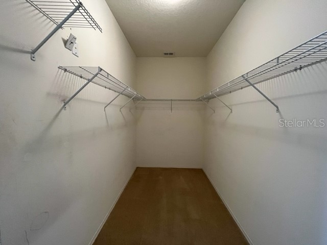 13527 Pitanga Street Clermont FL 34711 S5150291 image9