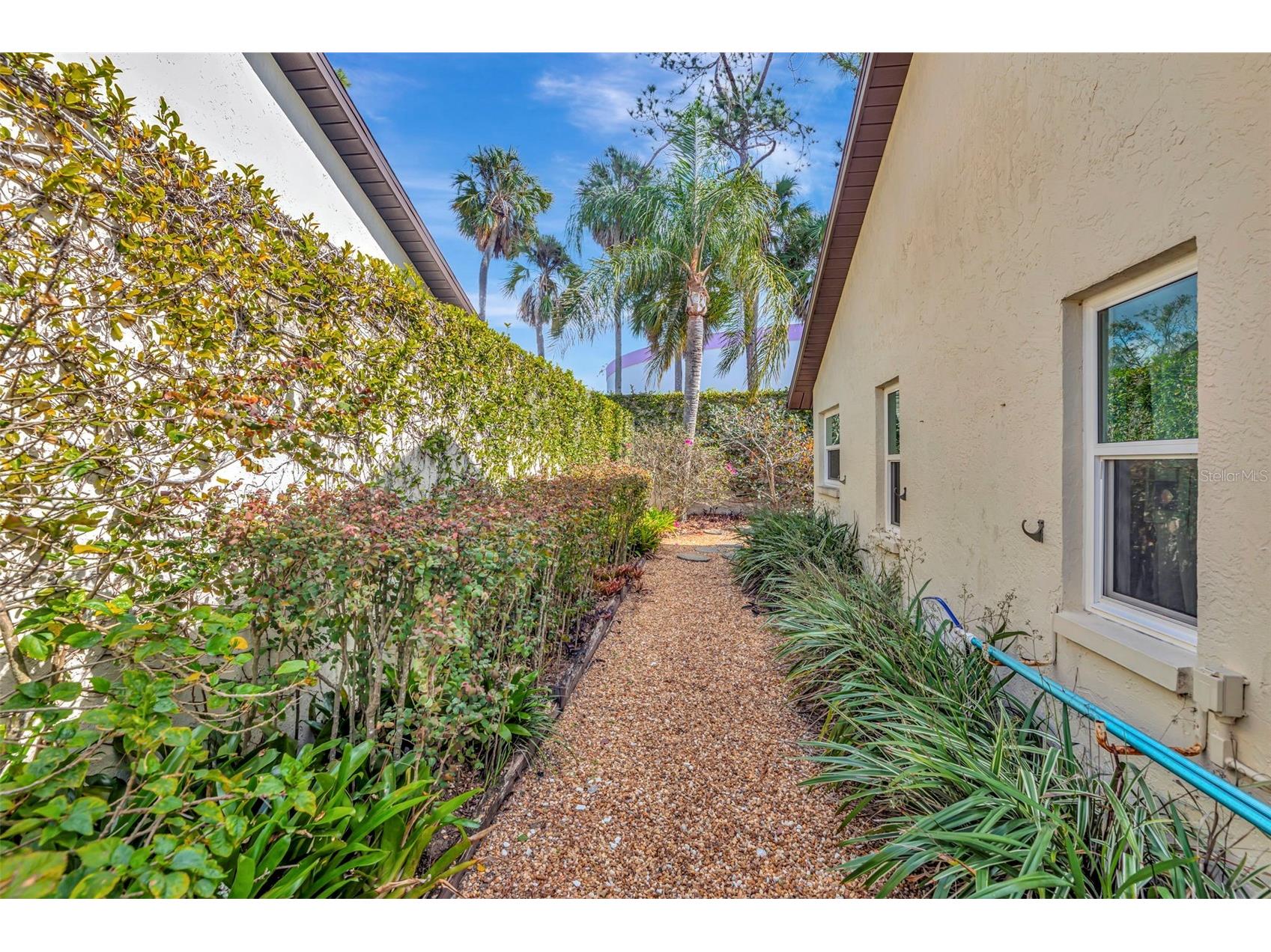 13528 Avista Drive Tampa FL 33624 TB8481518 image13