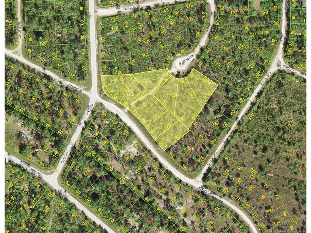 13528 Carousel Drive Punta Gorda FL 33955 A4596007 image1