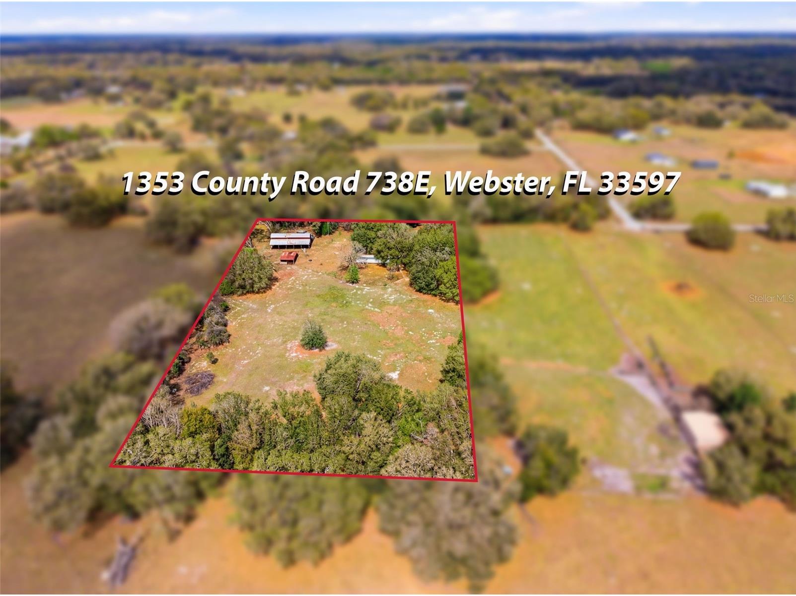 1353 Cr 738e Webster FL 33597 TB8484033 image1