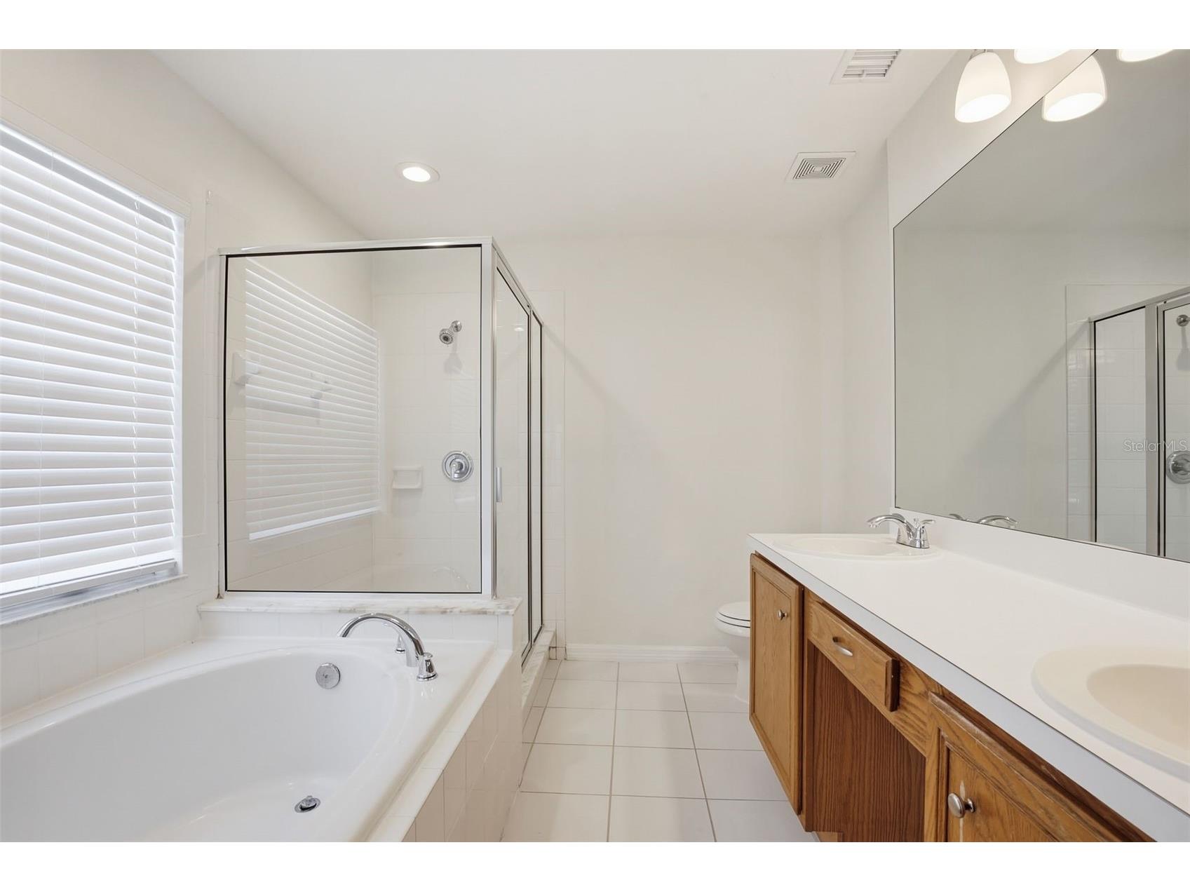 1353 Crimson Clover Lane Wesley Chapel FL 33543 O6401898 image30