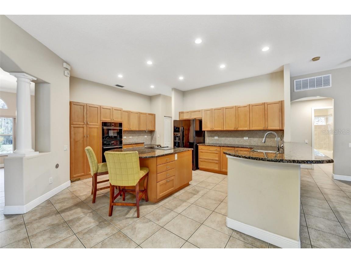 1353 El Pardo Drive Trinity FL 34655 TB8399872 image20