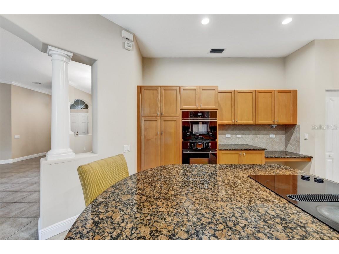 1353 El Pardo Drive Trinity FL 34655 TB8399872 image21