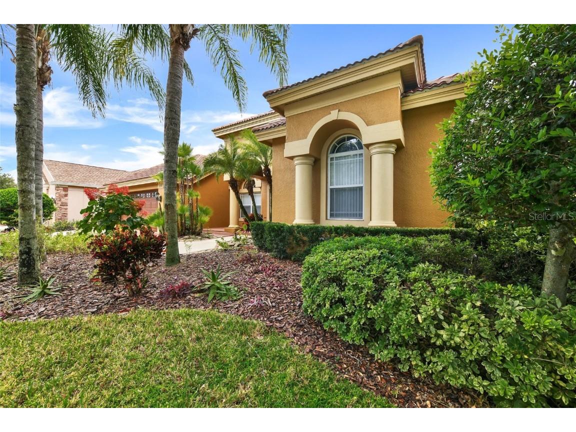 1353 El Pardo Drive Trinity FL 34655 TB8399872 image3