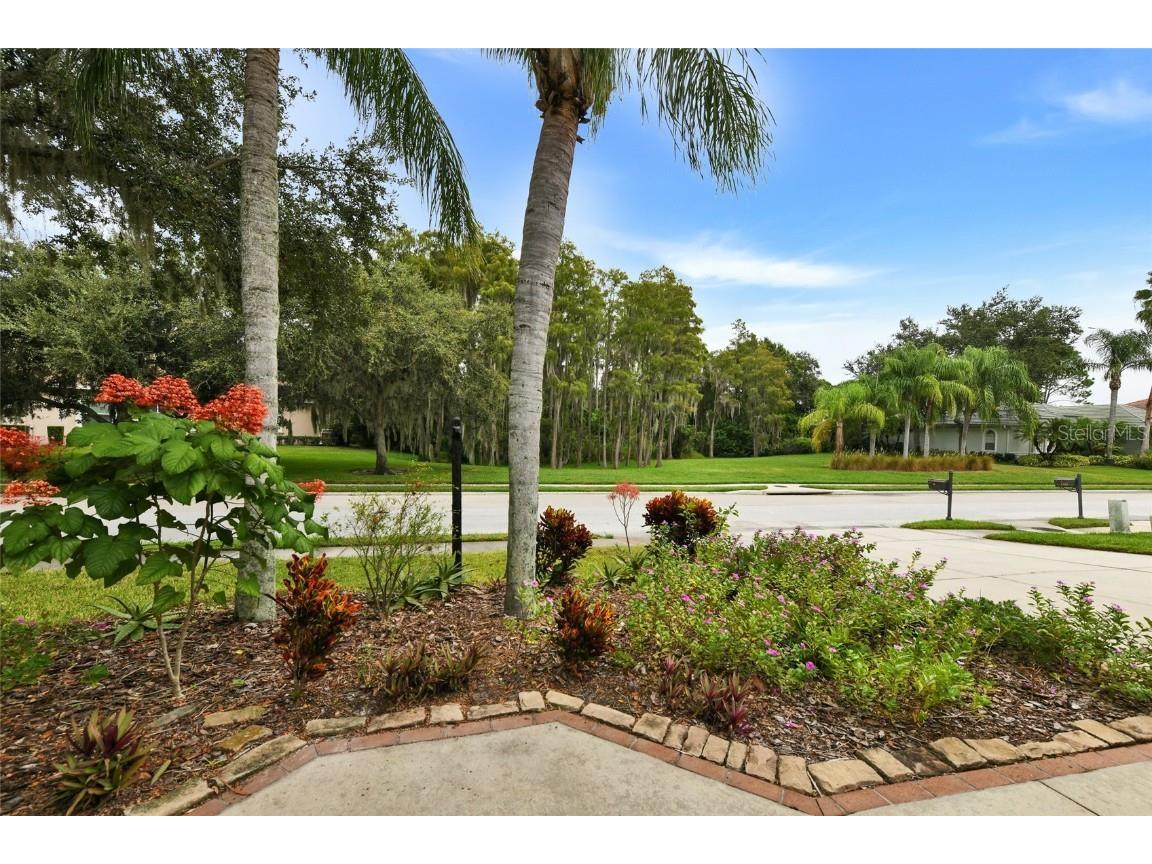 1353 El Pardo Drive Trinity FL 34655 TB8399872 image4