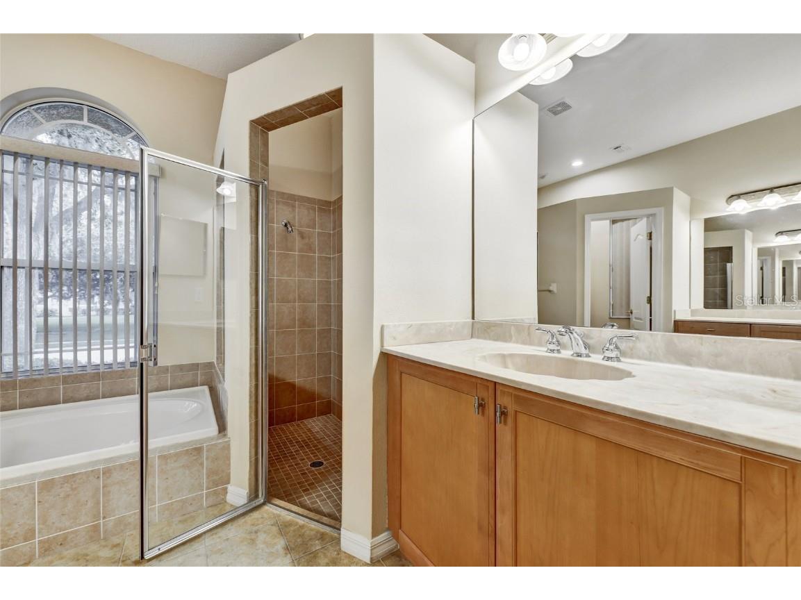 1353 El Pardo Drive Trinity FL 34655 TB8399872 image41