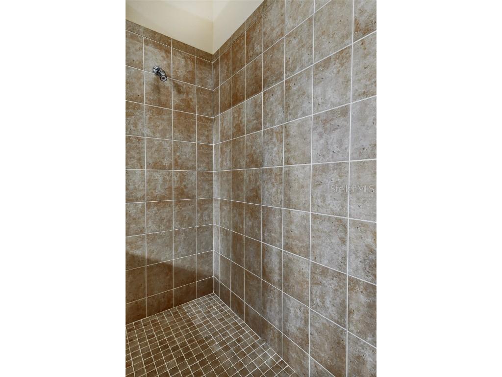 1353 El Pardo Drive Trinity FL 34655 TB8399872 image42