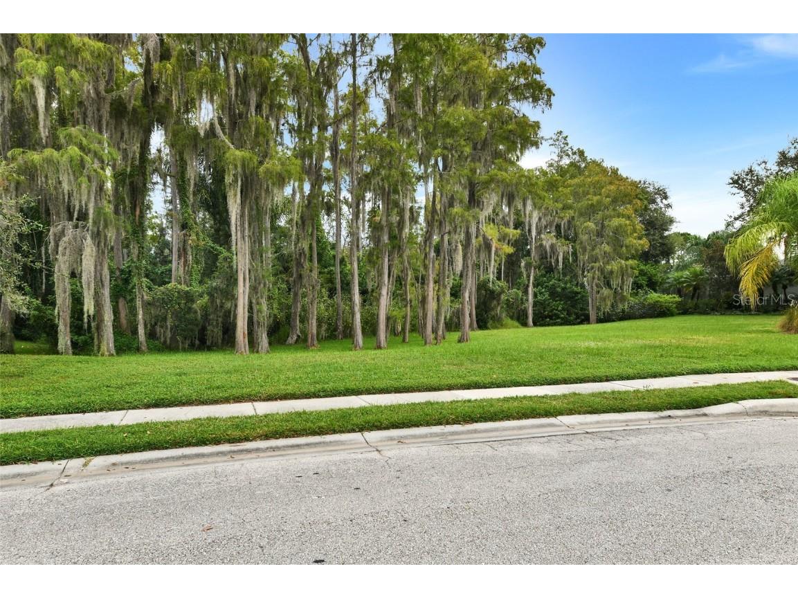 1353 El Pardo Drive Trinity FL 34655 TB8399872 image5