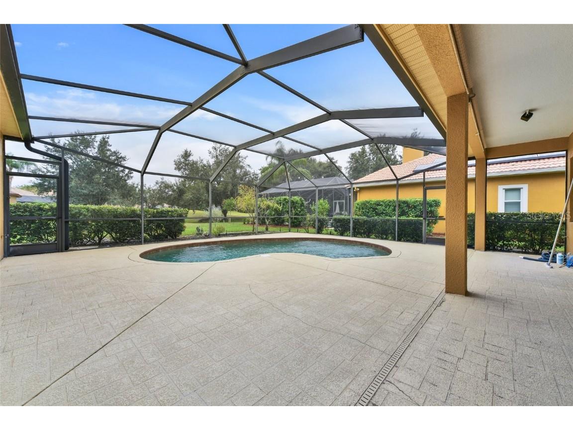 1353 El Pardo Drive Trinity FL 34655 TB8399872 image7