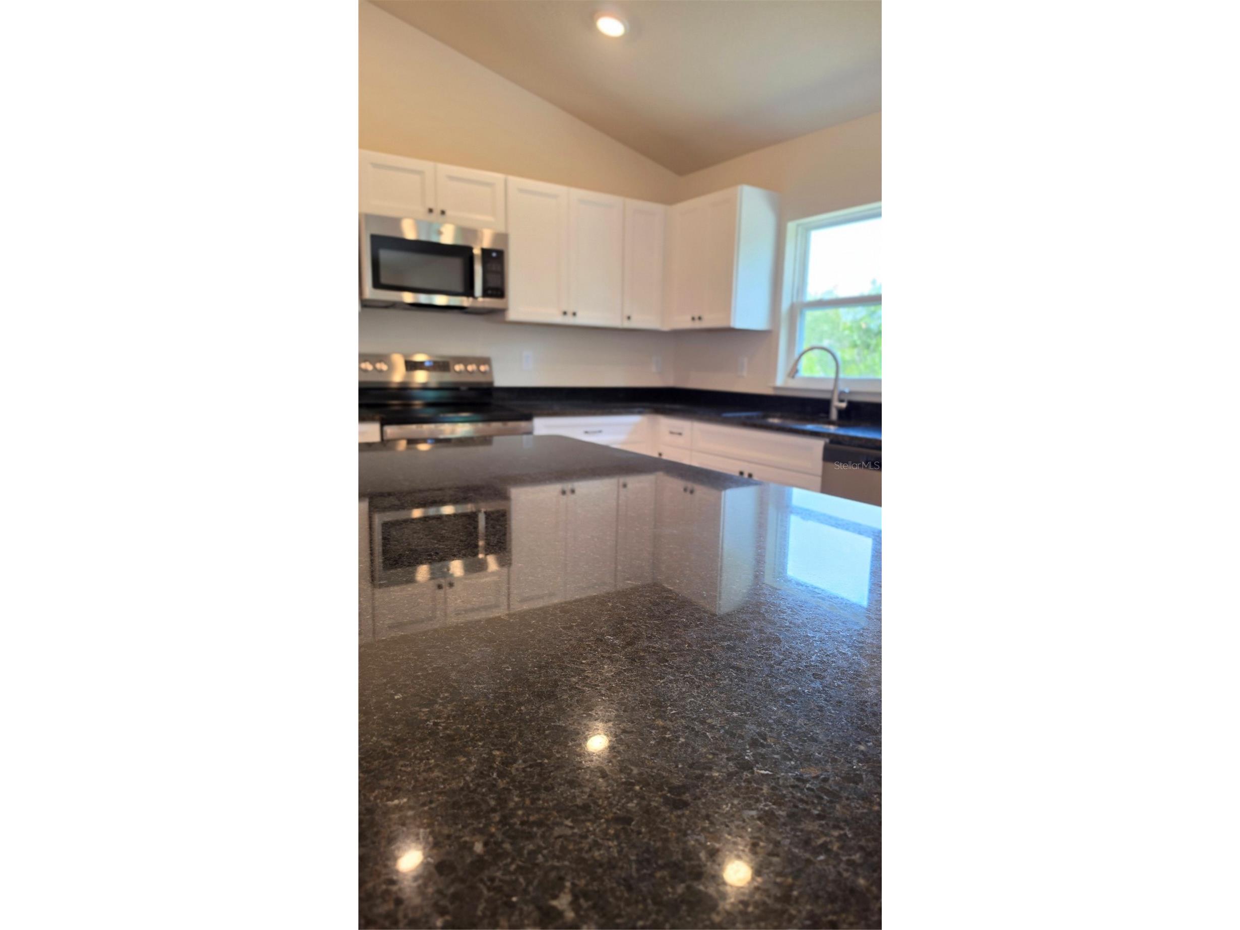 1353 W Cary Drive Citrus Springs FL 34434 OM723631 image11