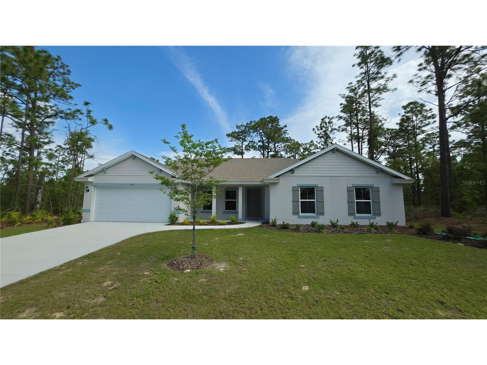 1353 W Cary Drive Citrus Springs FL 34434 OM723631 image3
