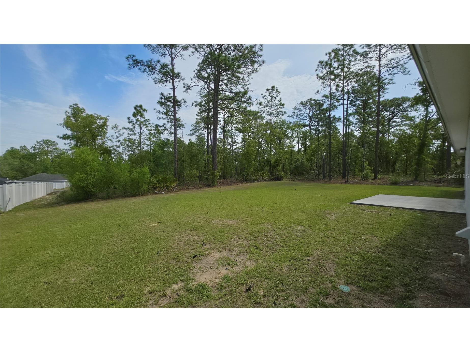 1353 W Cary Drive Citrus Springs FL 34434 OM723631 image4