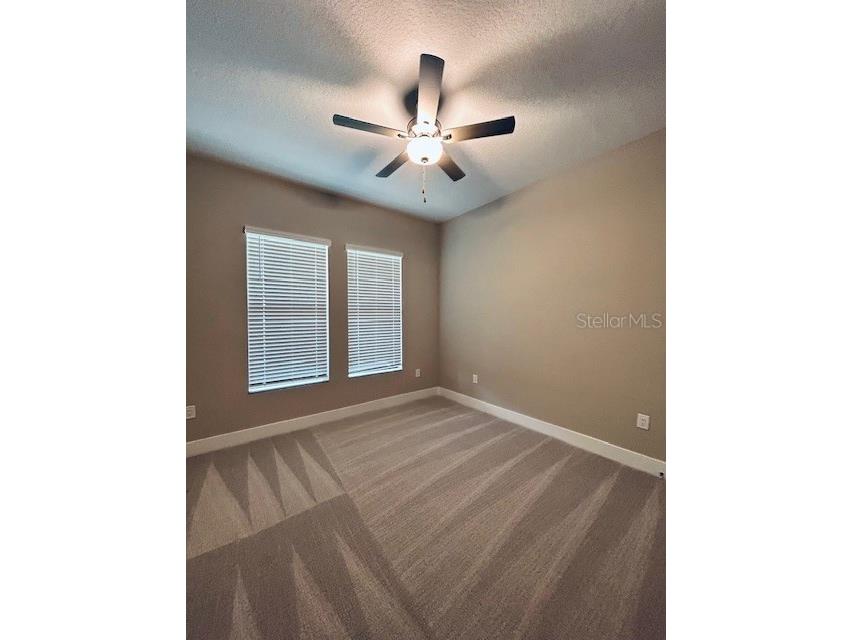 13530 Oldenburg Drive Hudson FL 34667 T3529225 image11