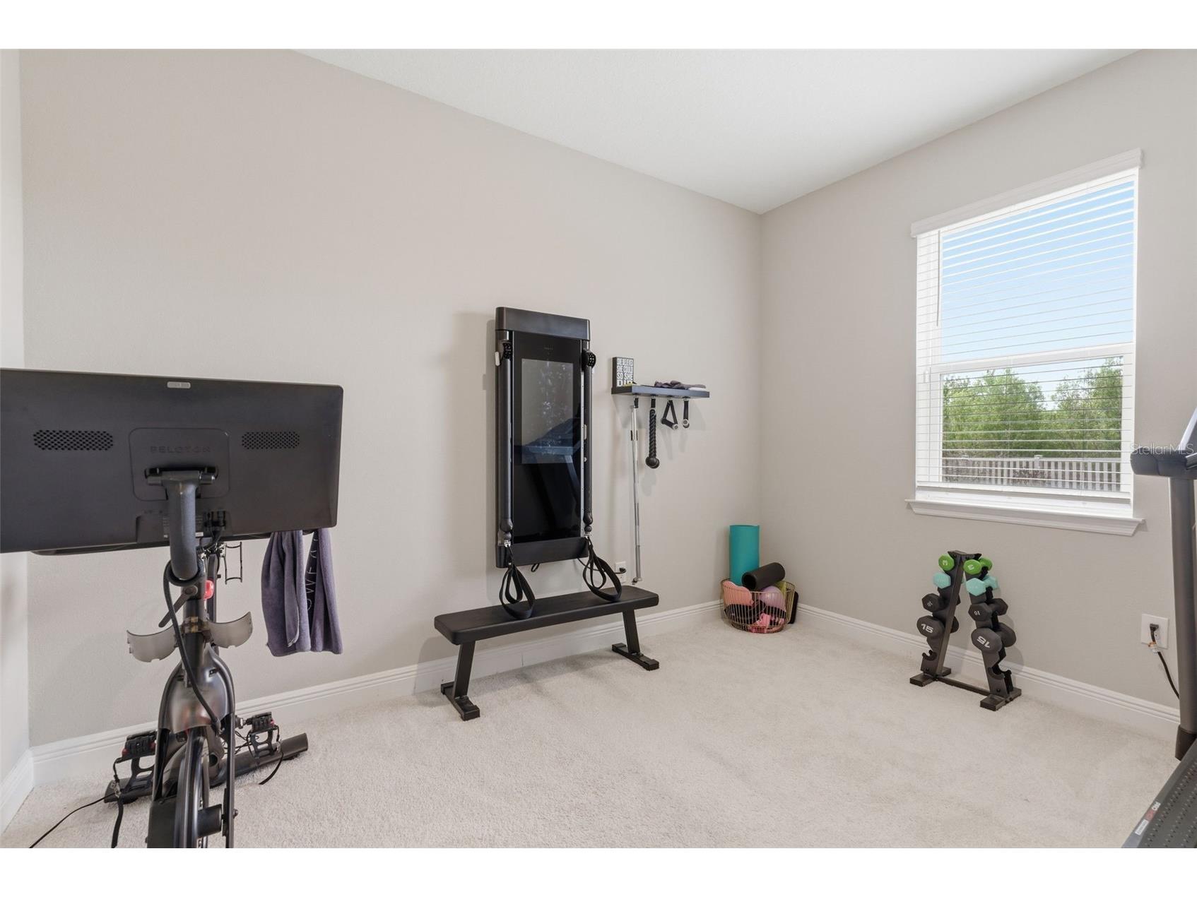 13530 Palmera Vista Drive Riverview FL 33579 TB8485025 image20