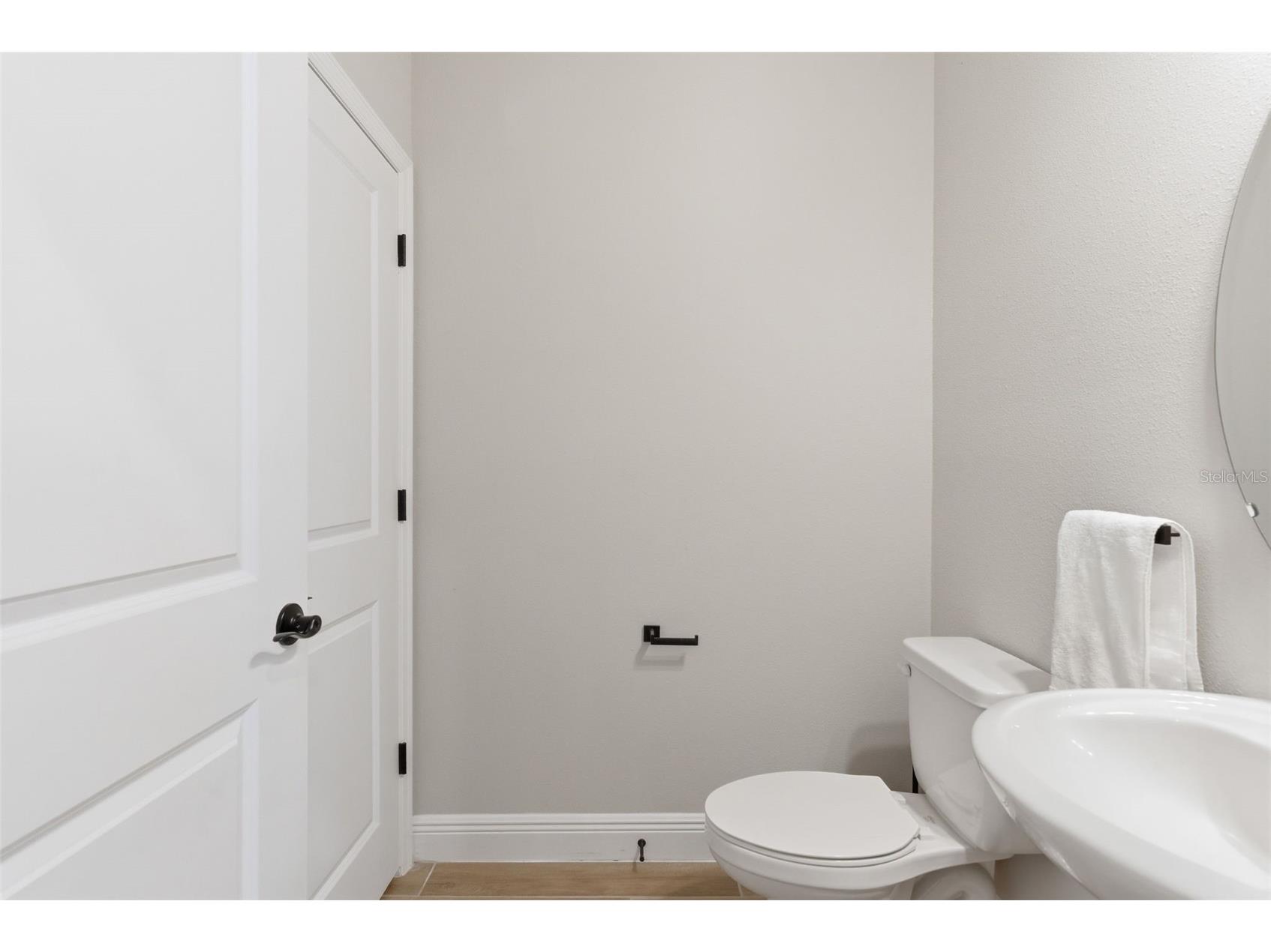 13530 Palmera Vista Drive Riverview FL 33579 TB8485025 image21