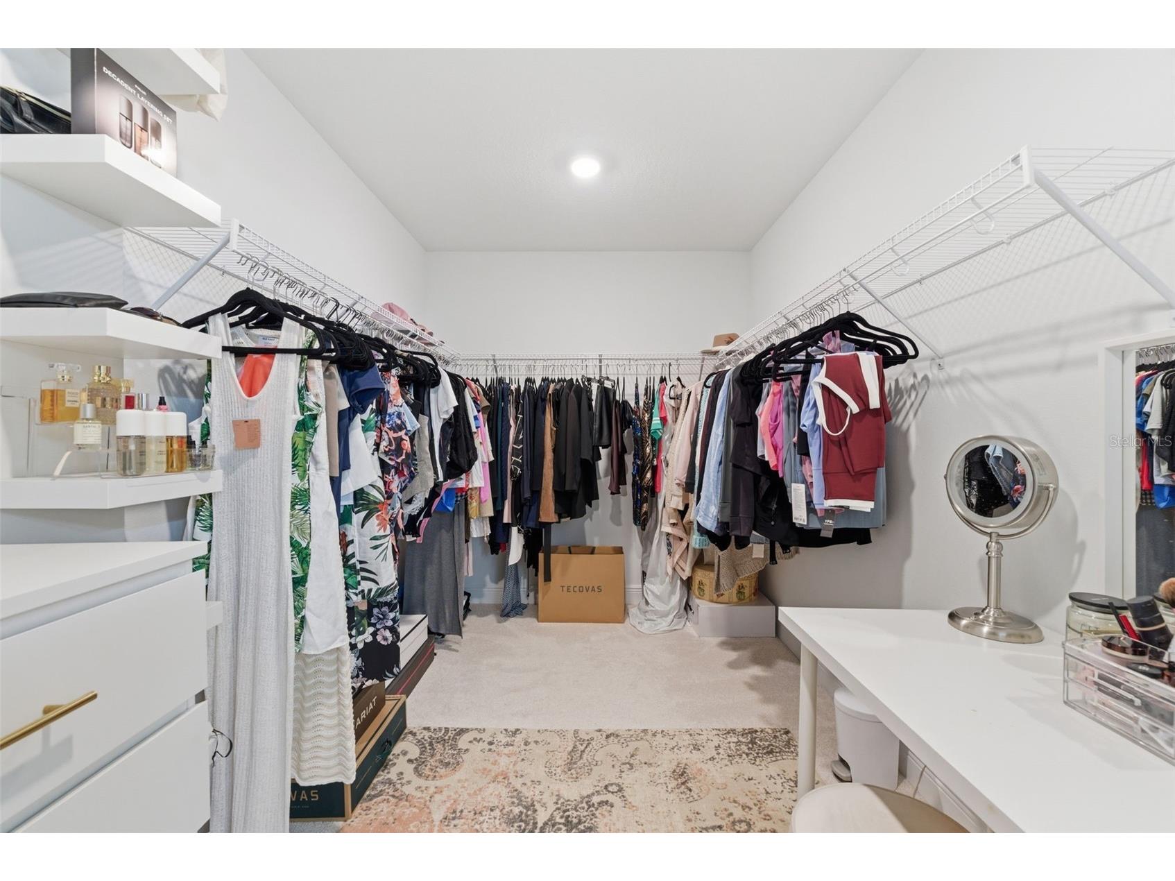 13530 Palmera Vista Drive Riverview FL 33579 TB8485025 image28
