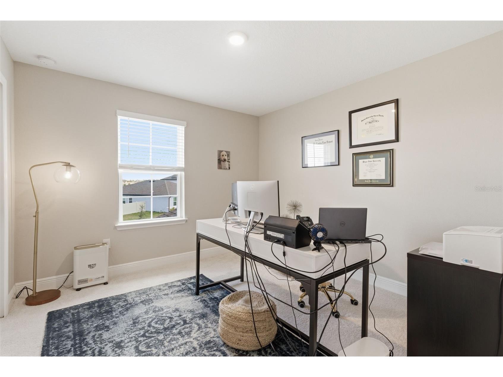 13530 Palmera Vista Drive Riverview FL 33579 TB8485025 image33