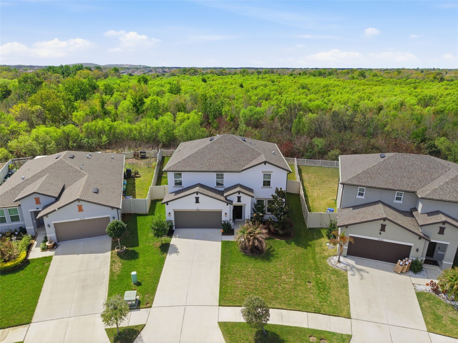 13530 Palmera Vista Drive Riverview FL 33579 TB8485025 image40