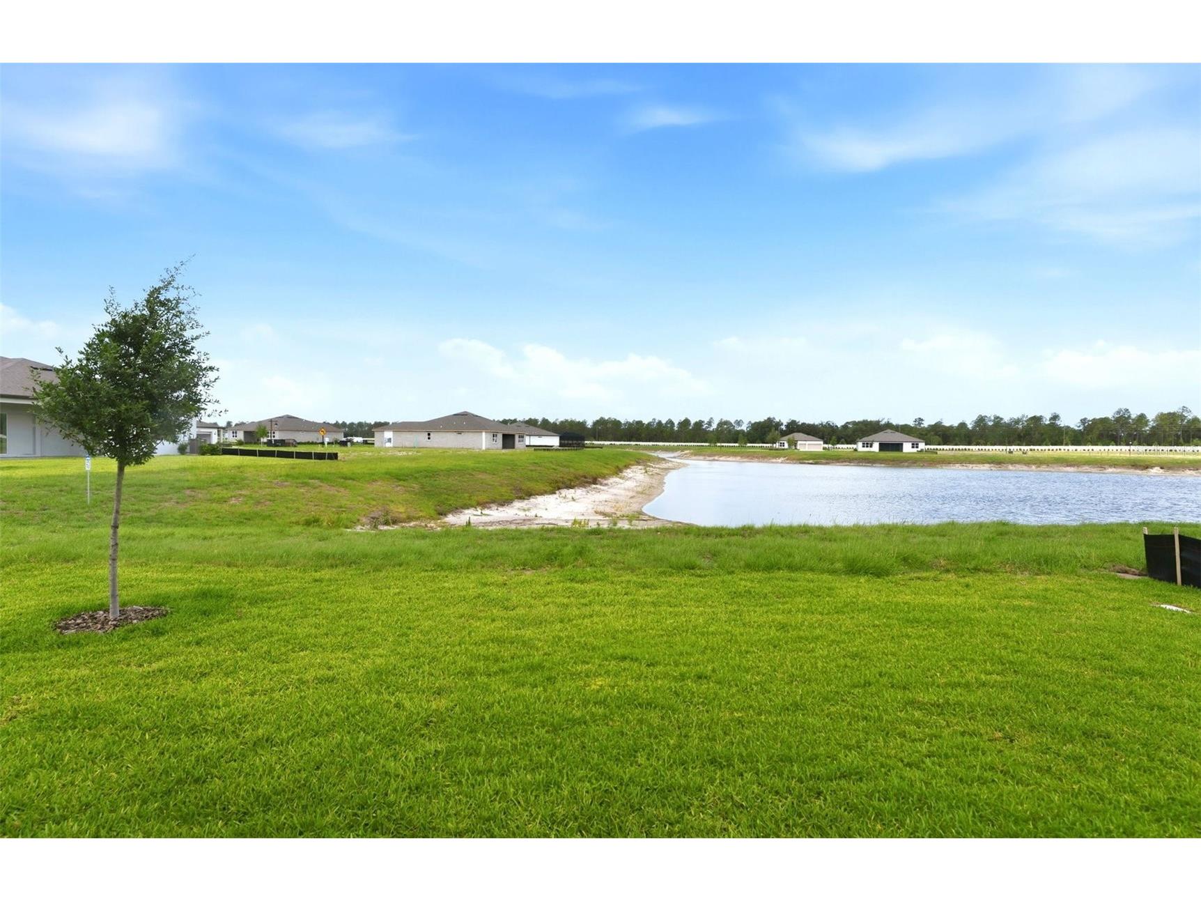 13531 Canyon Ridge Road Spring Hill FL 34610 TB8490877 image16