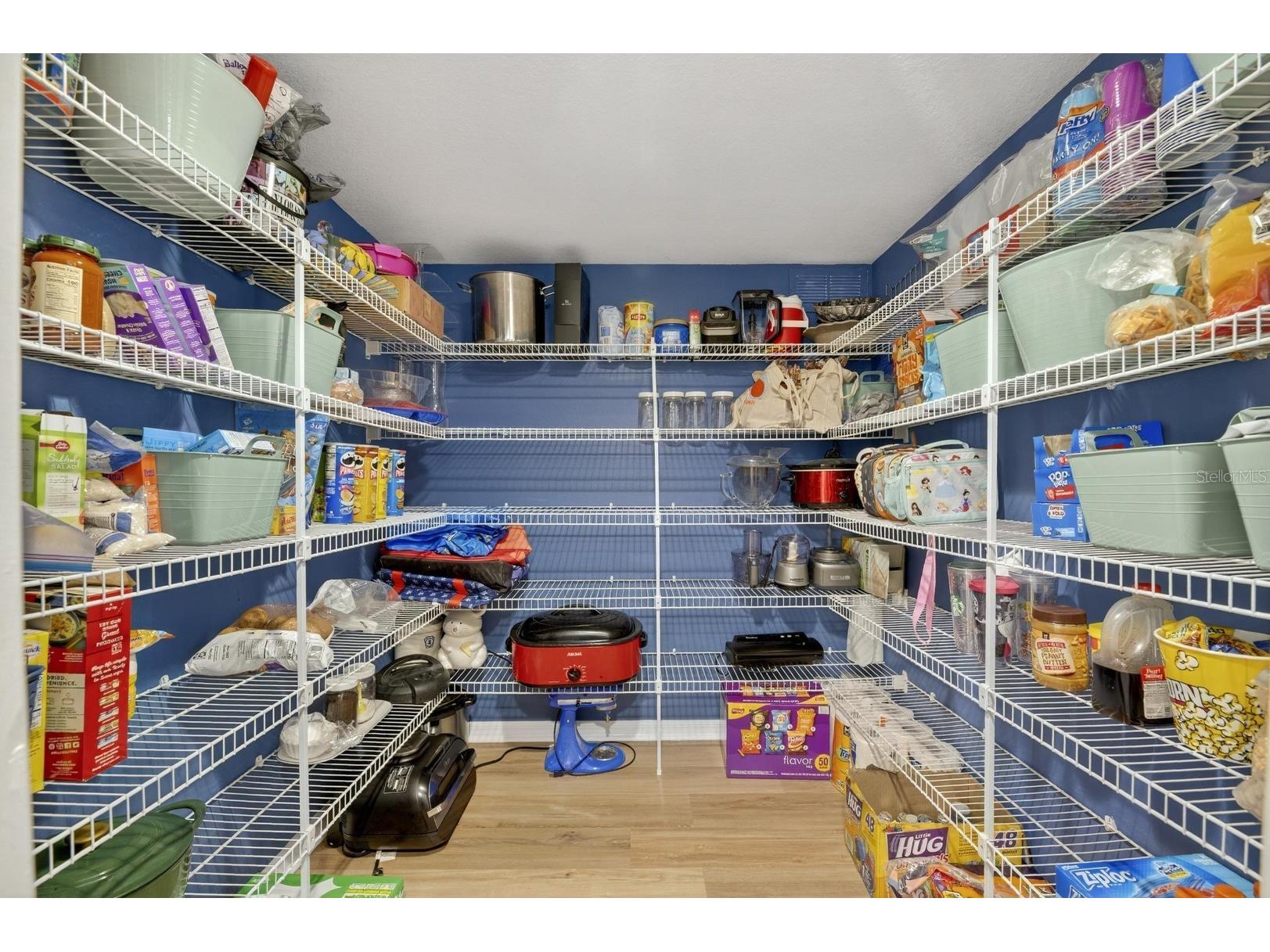 13531 Mango Bay Drive Riverview FL 33579 TB8471539 image19
