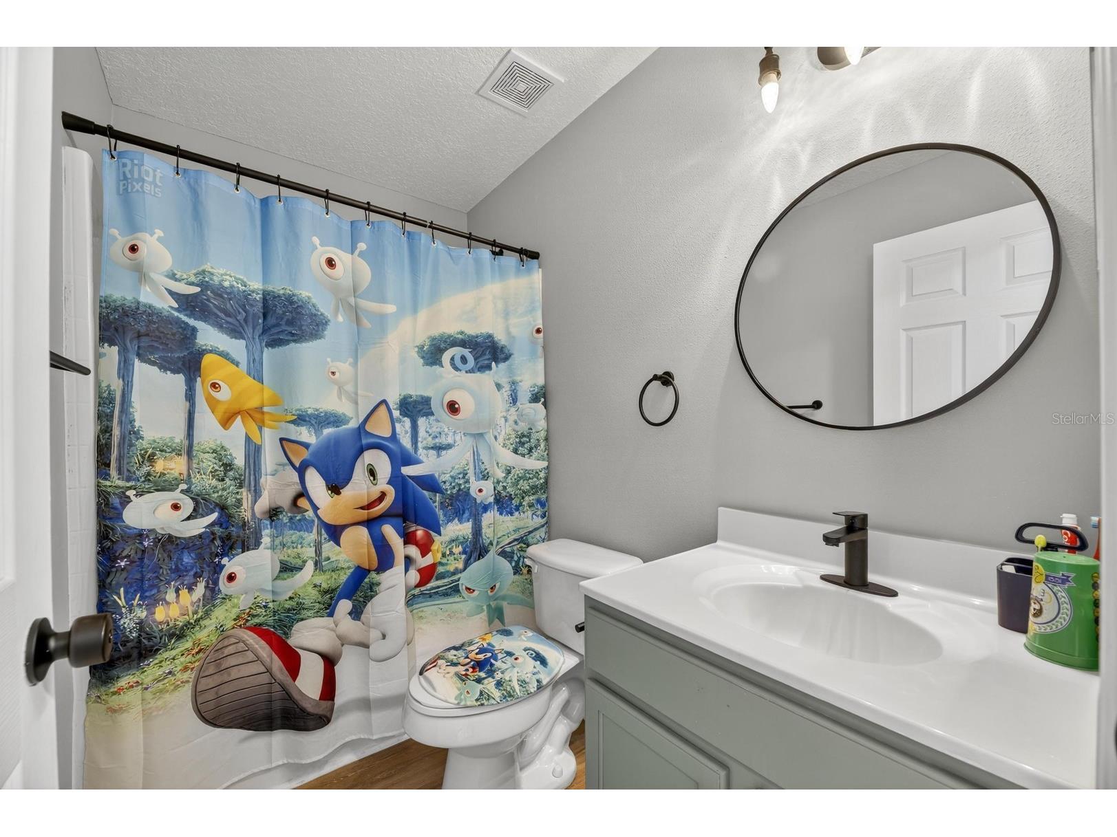 13531 Mango Bay Drive Riverview FL 33579 TB8471539 image32