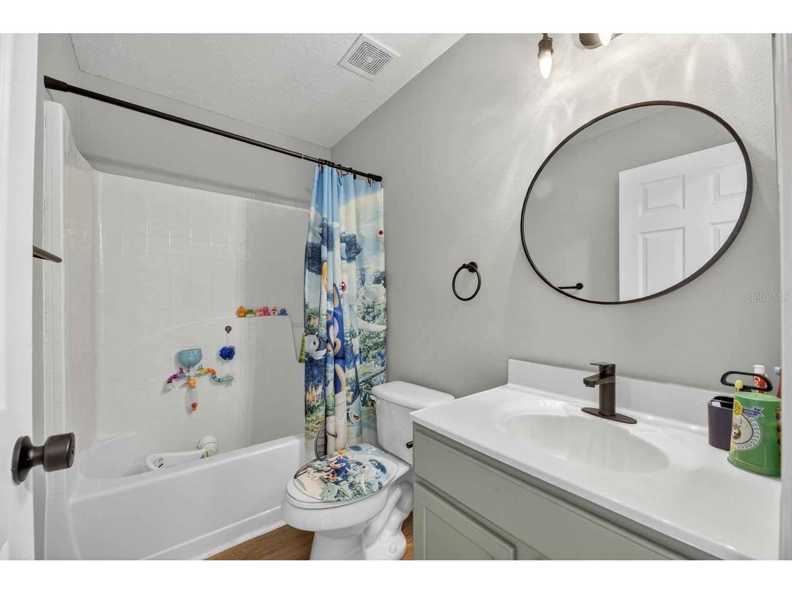 13531 Mango Bay Drive Riverview FL 33579 TB8471539 image33
