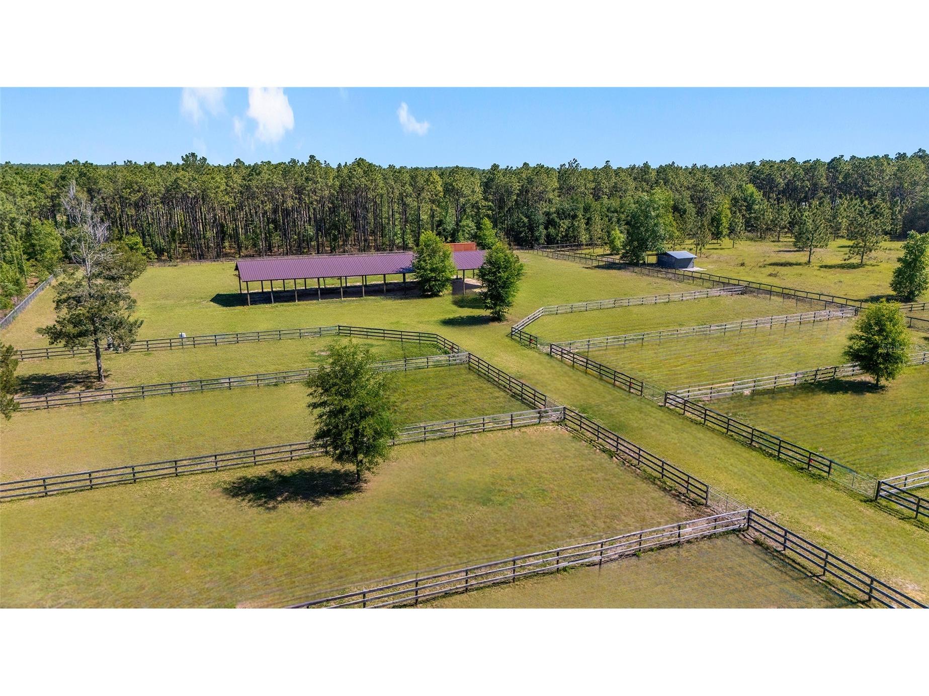 13531 SE 54th Street Morriston FL 32668 OM723658 image3