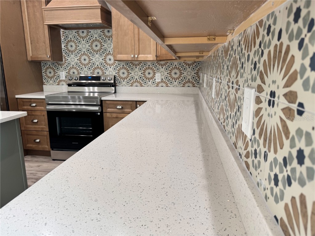 13532 14th Street Dade City FL 33525 TB8381948 image4