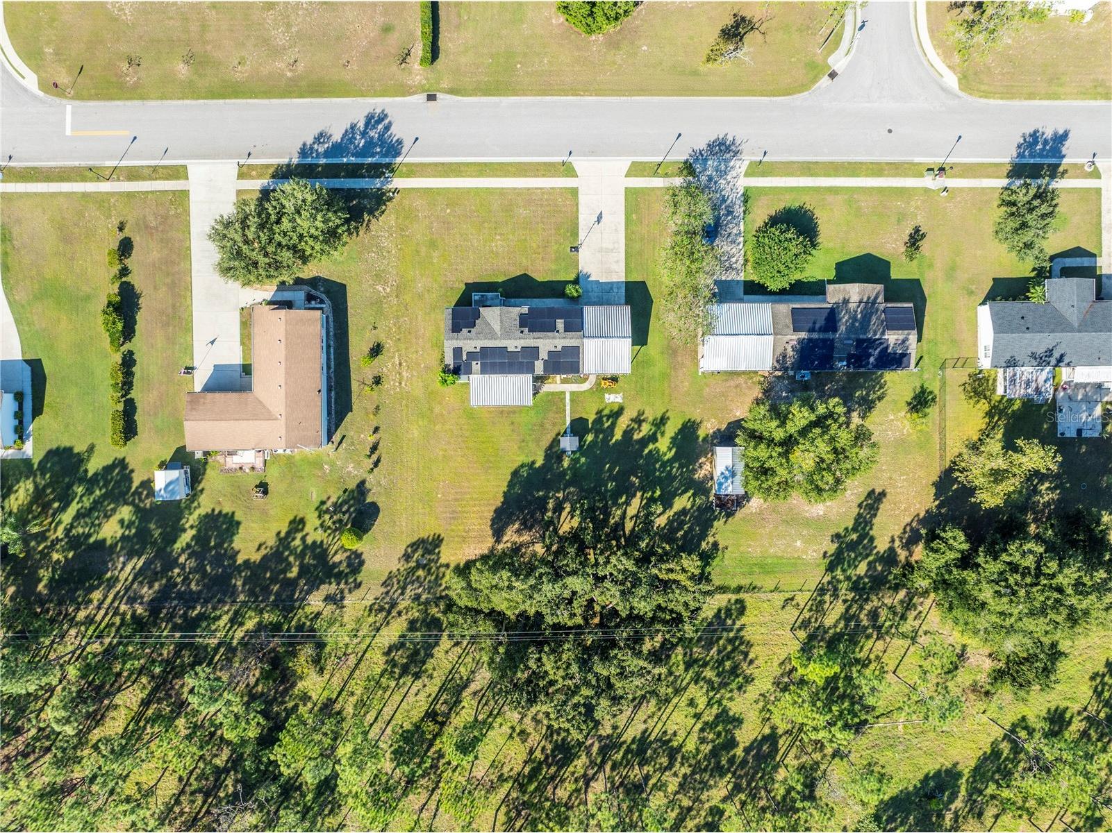 13532 Kent Bradley Street Dade City FL 33525 O6351942 image31