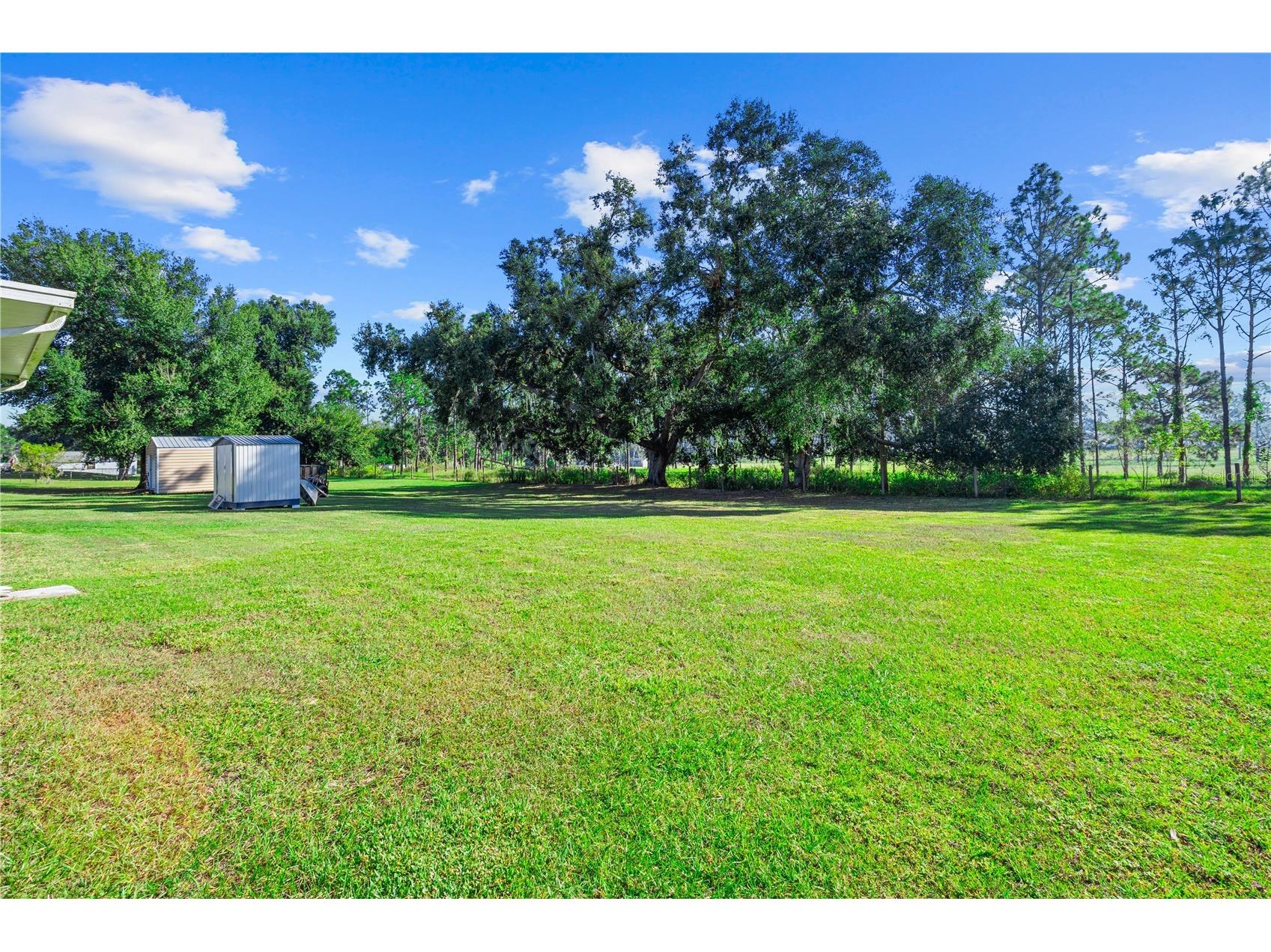 13532 Kent Bradley Street Dade City FL 33525 O6351942 image5