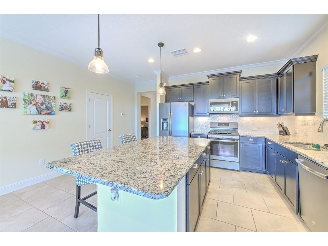 13534 Circa Crossing Drive Lithia FL 33547 TB8453498 image30