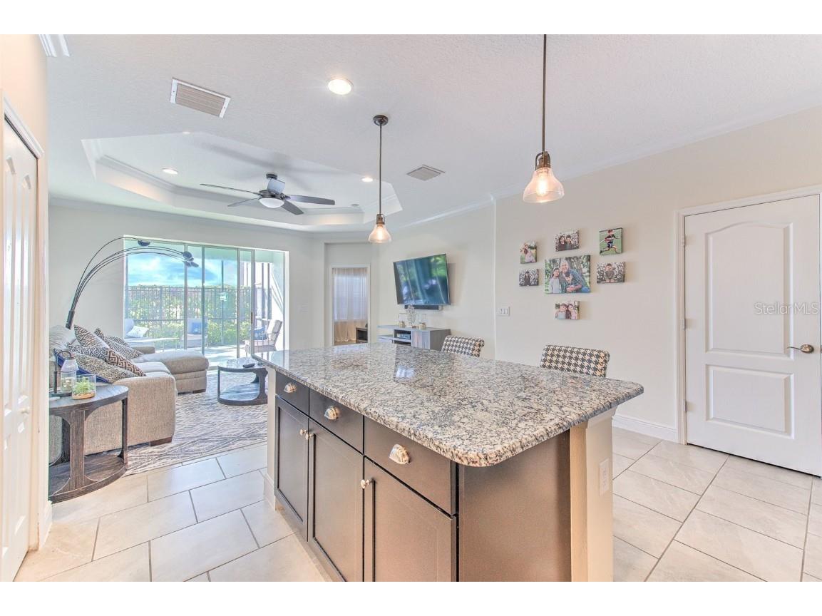 13534 Circa Crossing Drive Lithia FL 33547 TB8453498 image31