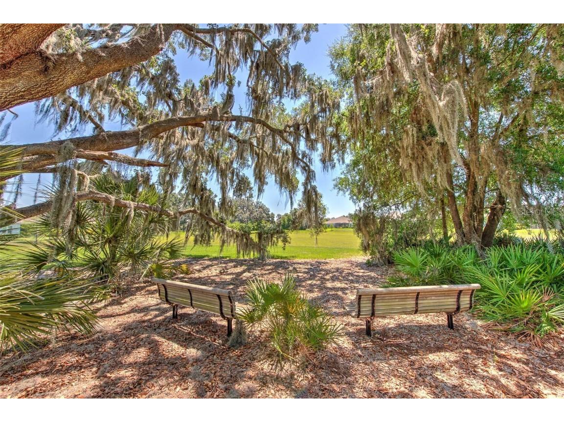 13534 Circa Crossing Drive Lithia FL 33547 TB8453498 image50