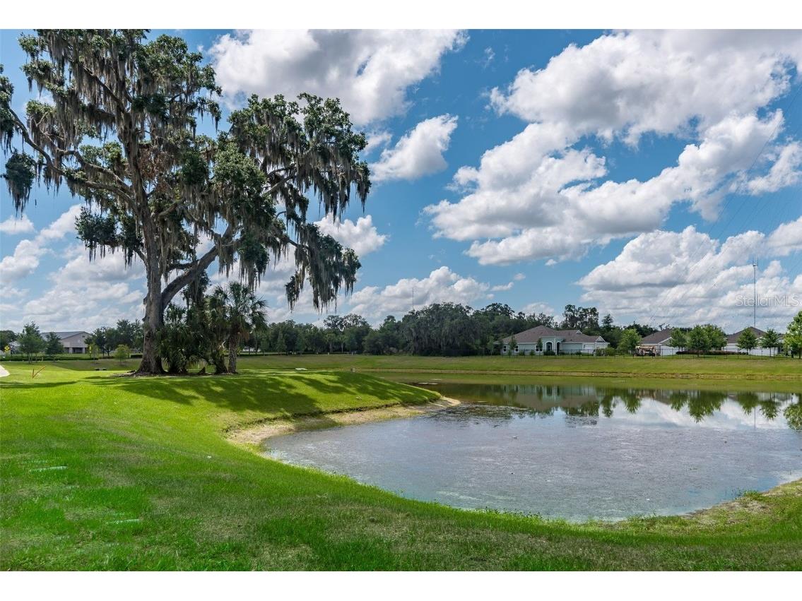 13534 Circa Crossing Drive Lithia FL 33547 TB8453498 image51