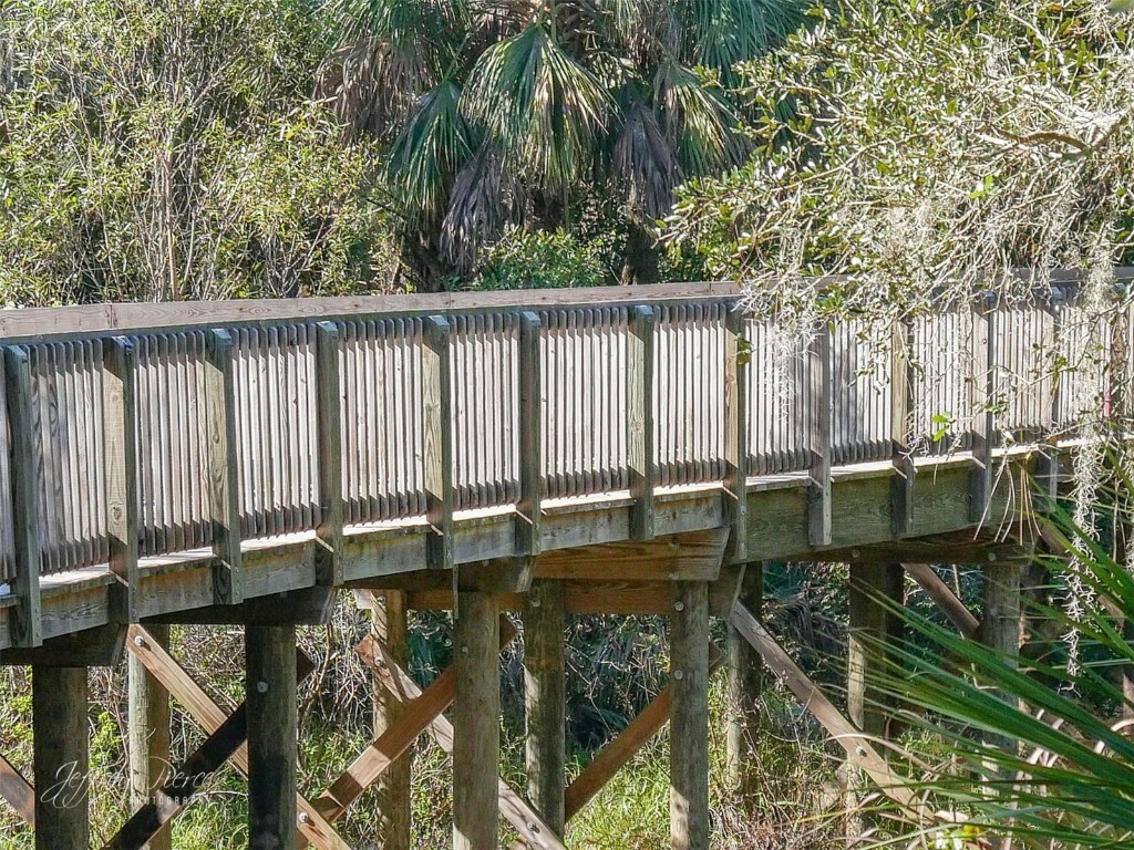 13534 Circa Crossing Drive Lithia FL 33547 TB8453498 image71