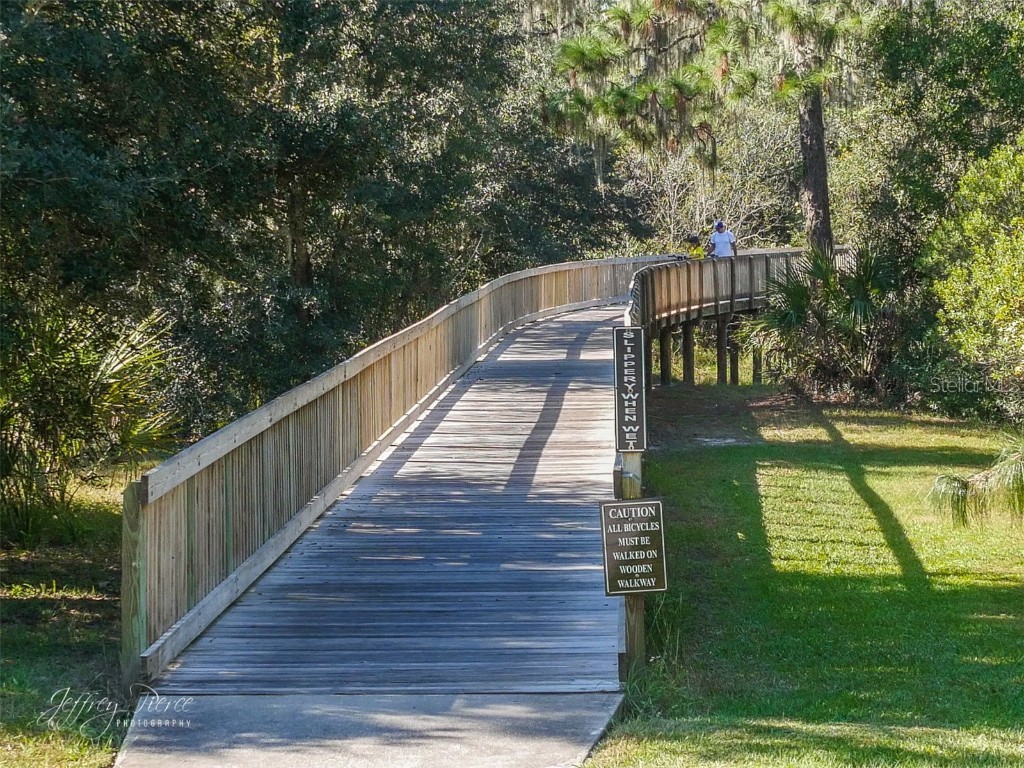 13534 Circa Crossing Drive Lithia FL 33547 TB8453498 image72