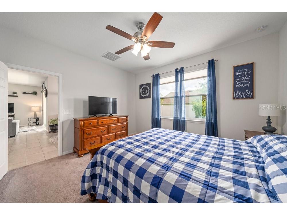 13536 Lake Yale View Loop Grand Island FL 32735 G5101687 image21